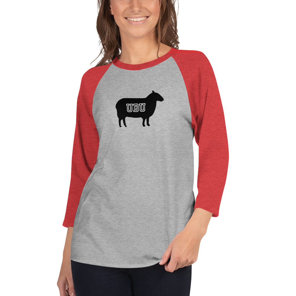 3/4 sleeve raglan shirt