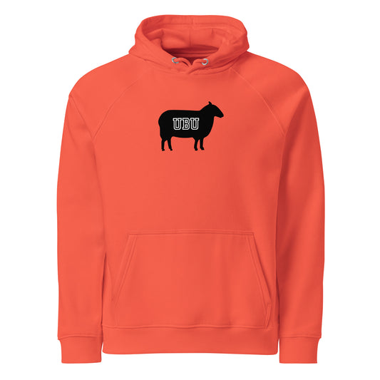 Unisex eco raglan hoodie